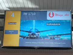 airport fids